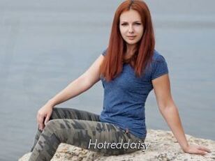 Hotreddaisy