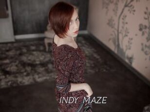 INDY_MAZE