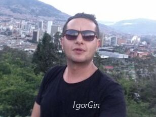 IgorGin
