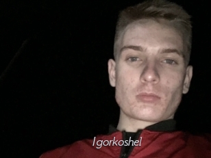 Igorkoshel