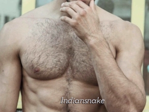 indiansnake Le Scandale