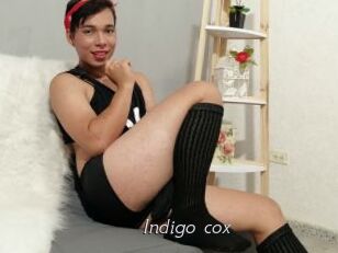Indigo_cox