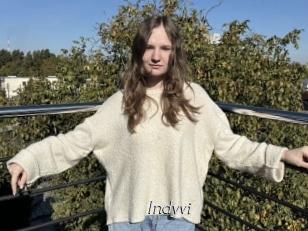 Indyvi