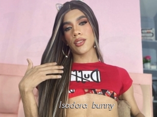 Isadora_bunny