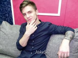 JakeSulii