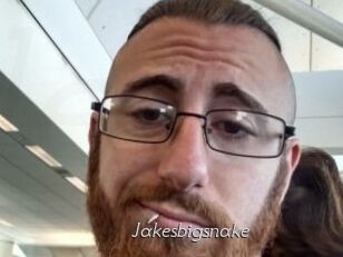 Jakesbigsnake
