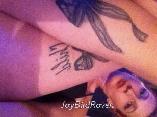 JayBirdRaven