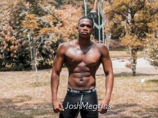JoshMegans