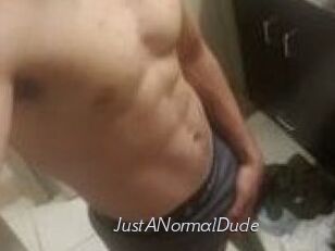 JustANormalDude