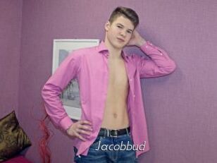 Jacobbud