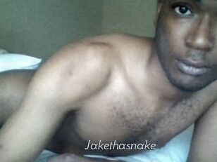 Jake_tha_snake
