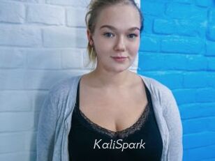 KaliSpark