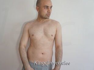 Kingofmycastlee