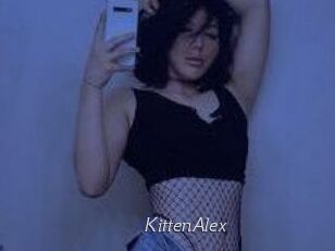 KittenAlex