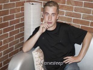 Kanesteep