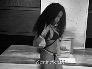 Kaninchen23