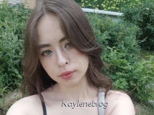 Kaylenebrog