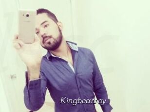 Kingbearboy