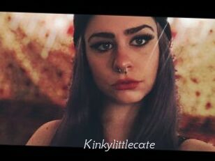 Kinkylittlecate