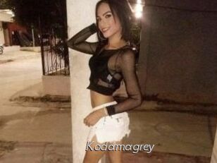 Kodamagrey