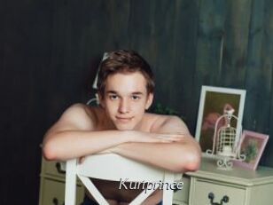 Kurtprince