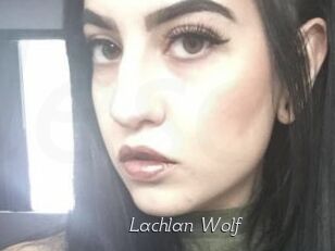 Lachlan_Wolf