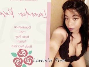 Lavender_Rose