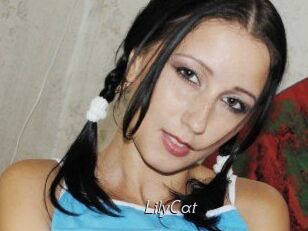 Lily_Cat_