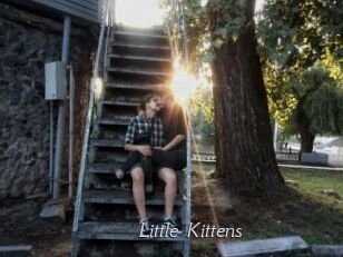 Little_Kittens