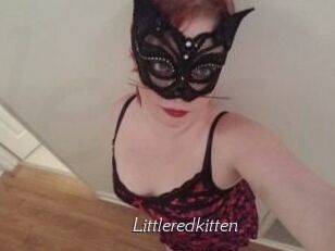 Littleredkitten