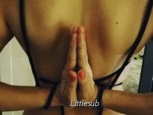 Littlesub