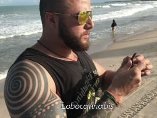 Lobocannabis
