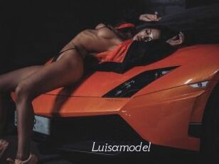 Luisamodel