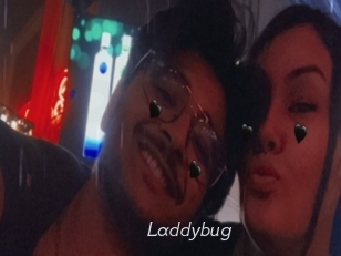 Laddybug
