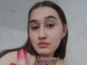 Lamareed