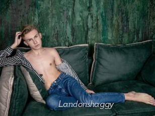 Landonshaggy