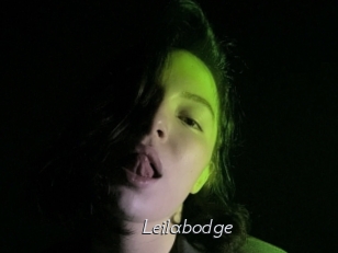 Leilabodge