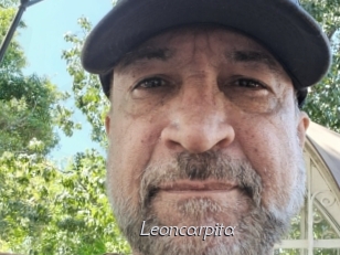 Leoncarpita