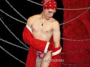 Leondynamo