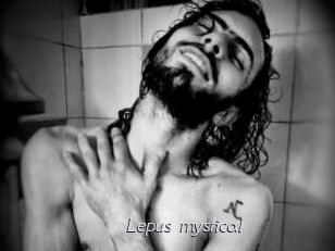 Lepus_mystical