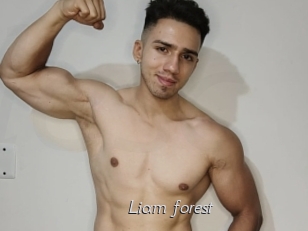 Liam_forest