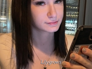 Lilygrows
