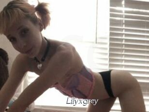 Lilyxgrey