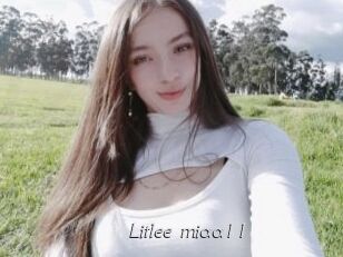 Litlee_miaa11