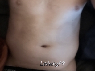 Littlebig99