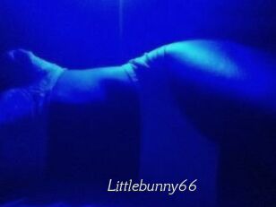 Littlebunny66