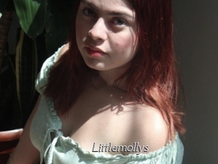 Littlemollys