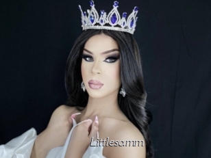 Littlesamm