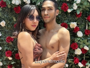 Lizyandmarks