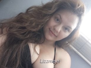 Lizzmaat